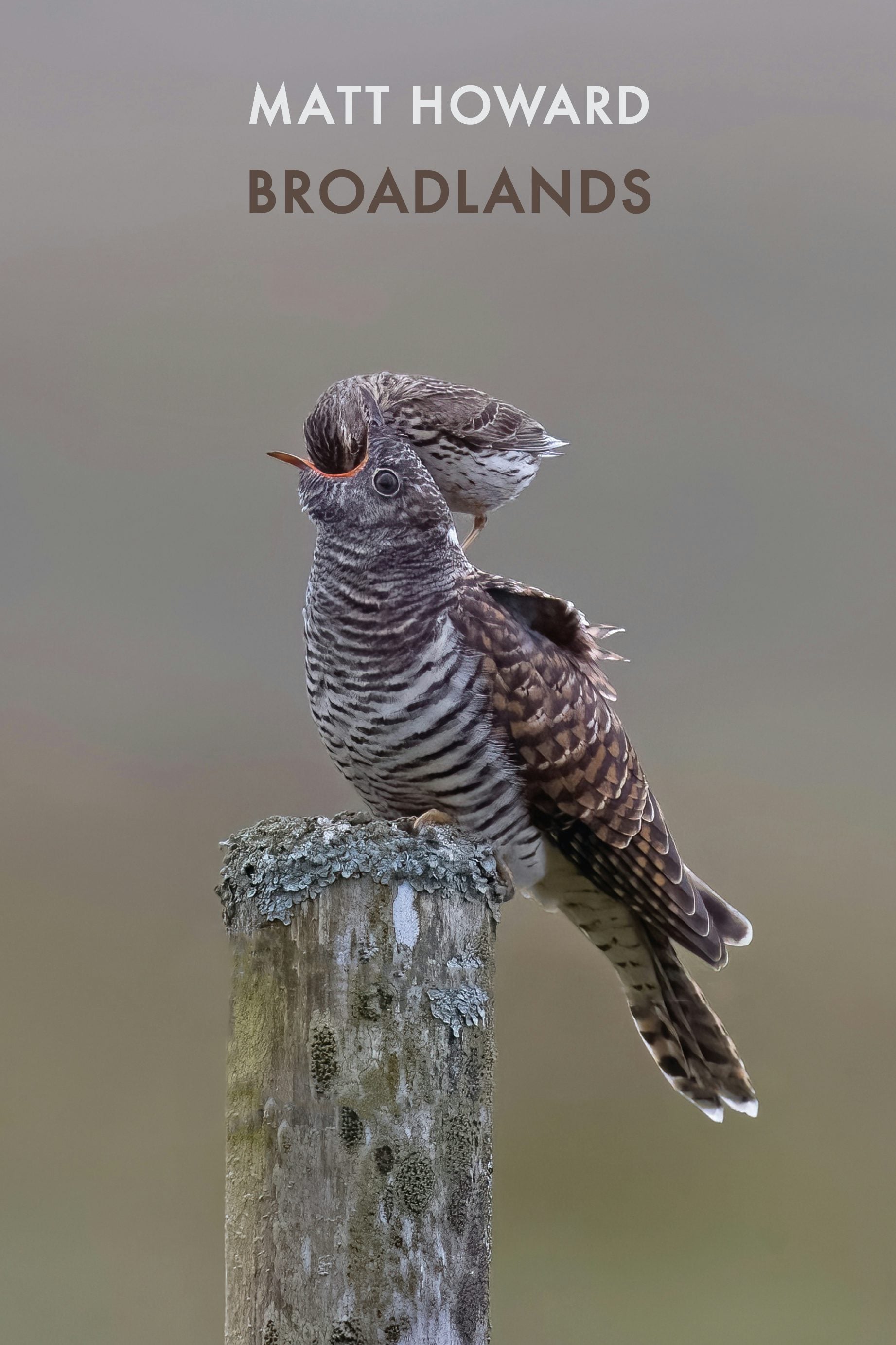 Book cover image for Broadlands ISBN: 9781780376882